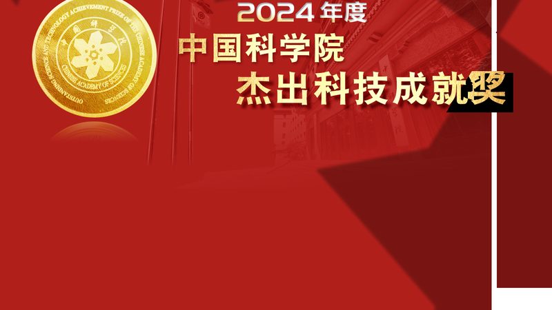 低代码平台：实战定制开发的成本考量**